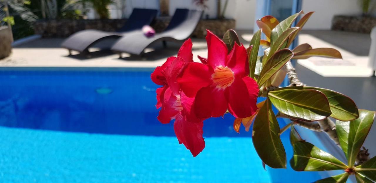 Villa Paradise, Pool And Sea View チャウエン エクステリア 写真