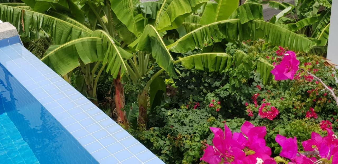 Villa Paradise, Pool And Sea View チャウエン エクステリア 写真